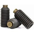 Newport Fasteners Socket Set Screw, Brass Tip, 1/2-20 x 3/4", Alloy Steel, Black Oxide, Hex Socket , 100PK 478728-100